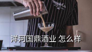 洋河國(guó)鼎酒業(yè) 怎么樣
