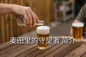 麥田里的守望者 簡(jiǎn)介