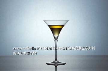 corso raffaello 0號(hào) 10126 TORINO ITALIA是我在意大利的朋友發(fā)來(lái)的地
