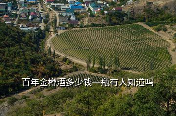 百年金樽酒多少錢(qián)一瓶有人知道嗎
