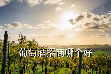 葡萄酒招商哪個(gè)好
