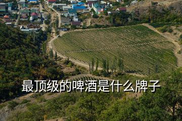 最頂級(jí)的啤酒是什么牌子