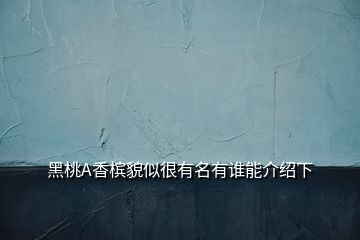 黑桃A香檳貌似很有名有誰(shuí)能介紹下