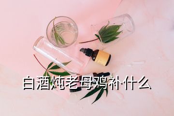 白酒燉老母雞補什么