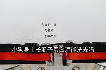 小狗身上長虱子用白酒能洗去嗎