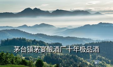 茅臺(tái)鎮(zhèn)茅宴釀酒廠(chǎng)十年極品酒