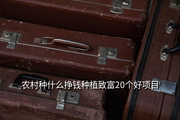 農(nóng)村種什么掙錢(qián)種植致富20個(gè)好項(xiàng)目
