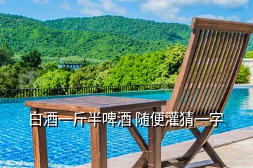 白酒一斤半啤酒 隨便灌猜一字