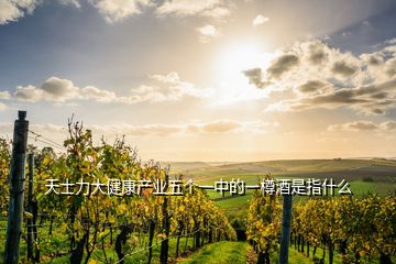 天士力大健康產(chǎn)業(yè)五個一中的一樽酒是指什么