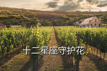十二星座守護花