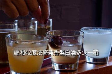 耀湘42度濃醬兼香型白酒多少一箱