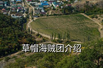 草帽海賊團介紹