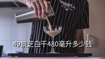 49景芝白干480毫升多少錢
