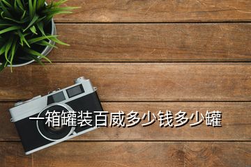 一箱罐裝百威多少錢(qián)多少罐