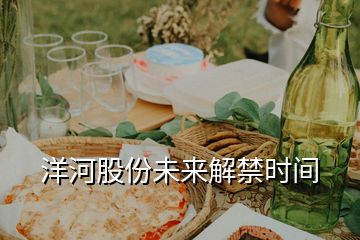 洋河股份未來解禁時(shí)間