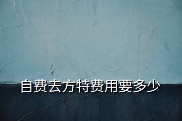 自費(fèi)去方特費(fèi)用要多少