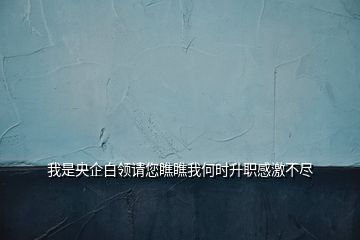我是央企白領請您瞧瞧我何時升職感激不盡