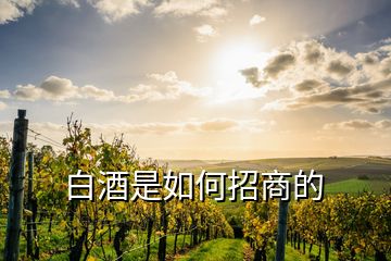白酒是如何招商的