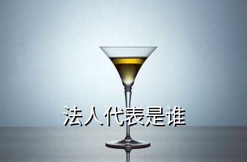 法人代表是誰(shuí)