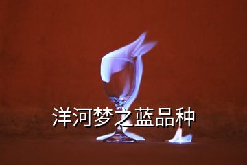 洋河夢之藍品種