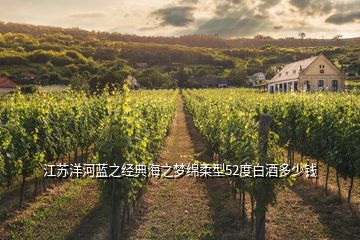 江蘇洋河藍之經(jīng)典海之夢綿柔型52度白酒多少錢