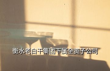 衡水老白干集團下屬全資子公司