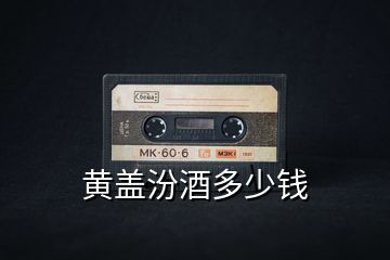 黃蓋汾酒多少錢