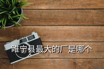 睢寧縣最大的廠是哪個(gè)