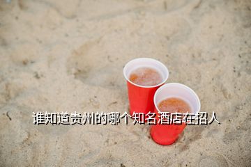誰知道貴州的哪個(gè)知名酒店在招人