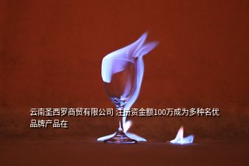 云南圣西羅商貿(mào)有限公司 注冊(cè)資金額100萬(wàn)成為多種名優(yōu)品牌產(chǎn)品在