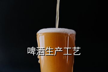 啤酒生產(chǎn)工藝