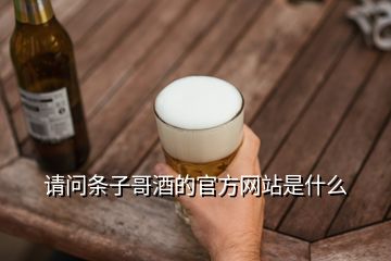 請問條子哥酒的官方網(wǎng)站是什么