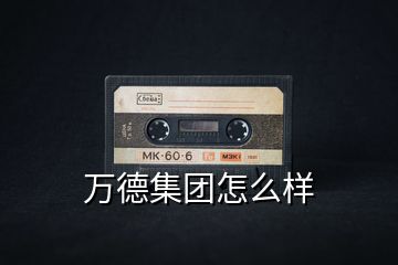 萬德集團(tuán)怎么樣