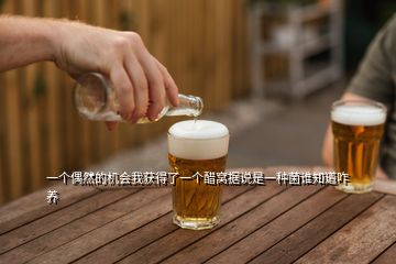 一個(gè)偶然的機(jī)會(huì)我獲得了一個(gè)醋窩據(jù)說(shuō)是一種菌誰(shuí)知道咋養(yǎng)