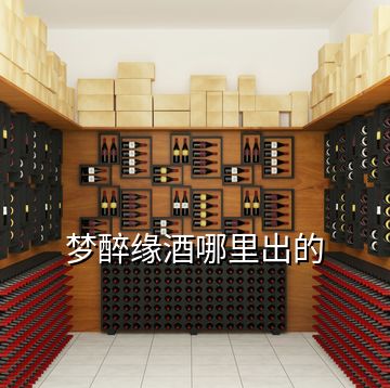 夢(mèng)醉緣酒哪里出的