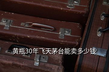 黃瓶30年飛天茅臺能賣多少錢