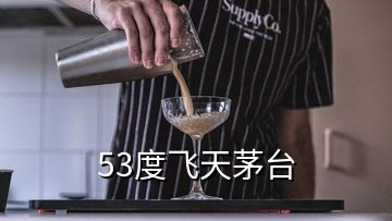 53度飛天茅臺(tái)