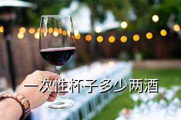 一次性杯子多少兩酒