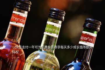 一次性支付一年可為年費(fèi)會(huì)員尊享每天多少成長值等額外特權(quán)