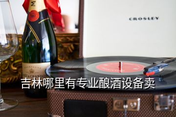 吉林哪里有專(zhuān)業(yè)釀酒設(shè)備賣(mài)
