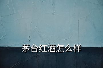 茅臺(tái)紅酒怎么樣