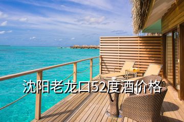 沈陽老龍口52度酒價(jià)格