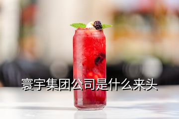 寰宇集團公司是什么來頭