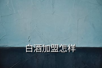 白酒加盟怎樣