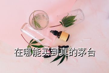 在哪能買到真的茅臺(tái)