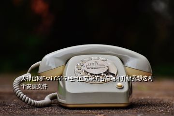 天祿官網(wǎng)Esai CS16 經(jīng)典正式版的客戶端和升級我想這兩個安裝文件