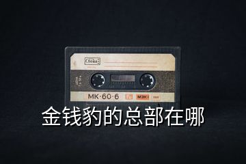 金錢(qián)豹的總部在哪