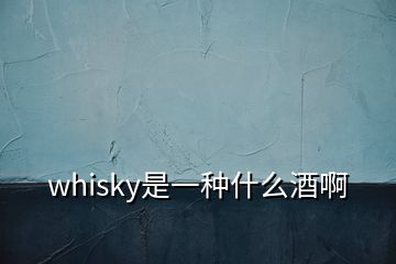 whisky是一種什么酒啊