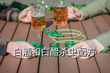 白酒和白醋殺蟲(chóng)配方