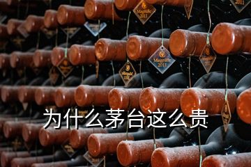 為什么茅臺(tái)這么貴